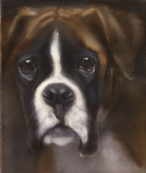  boxer petit portait,25x30 cm,ink-acrylic 