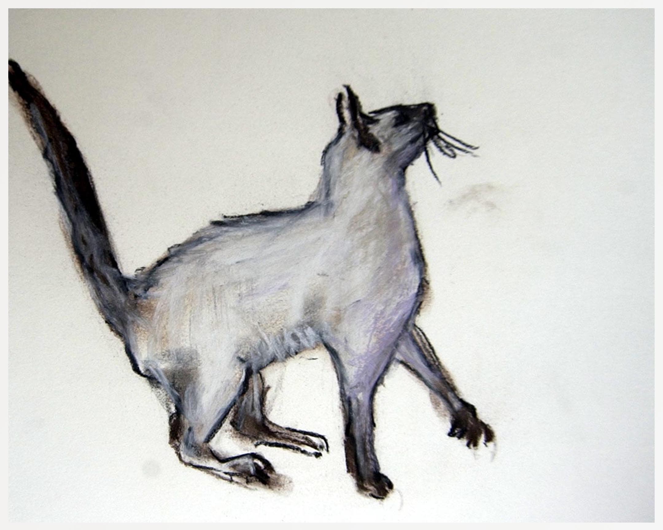  chat 3 