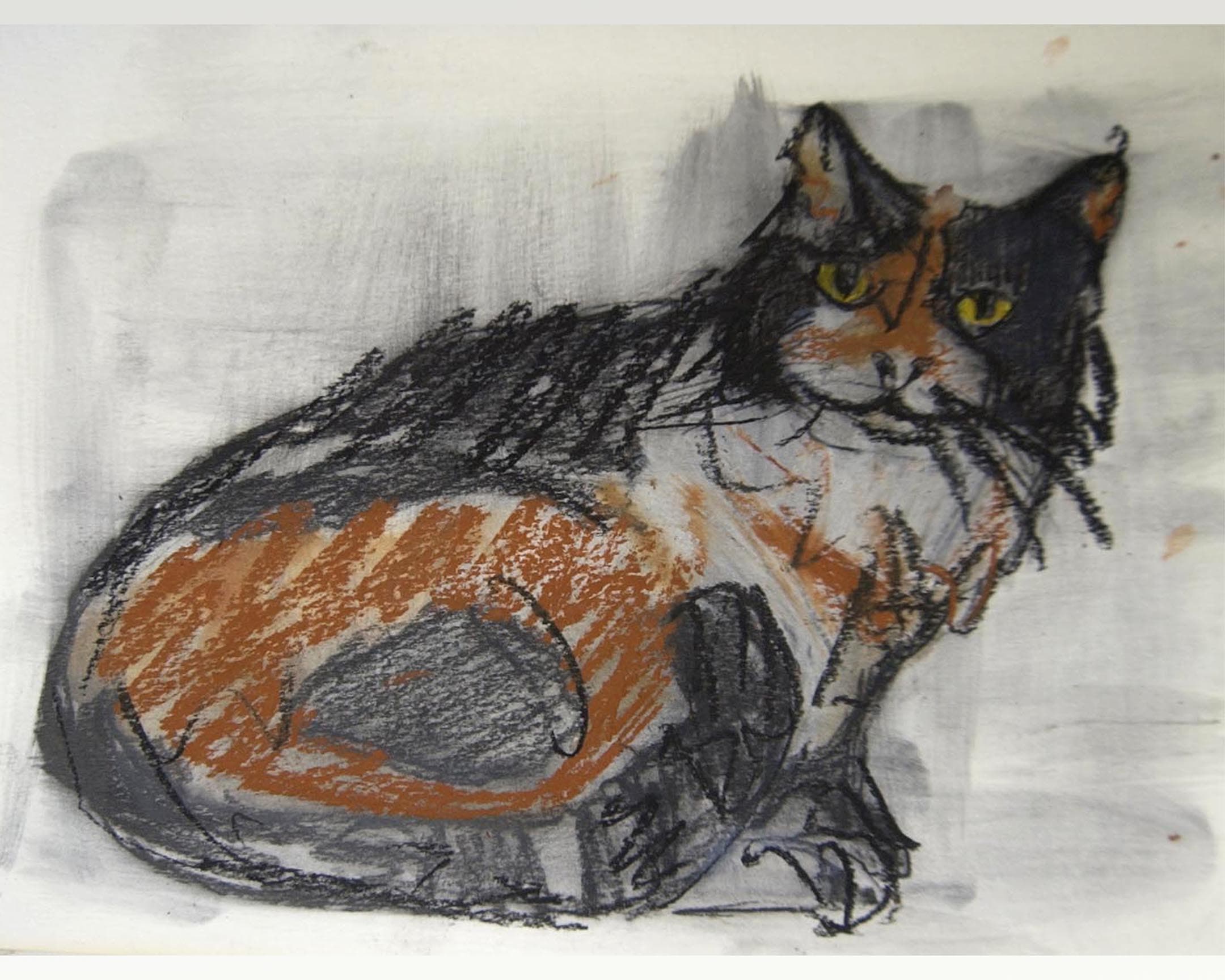  chat 4 