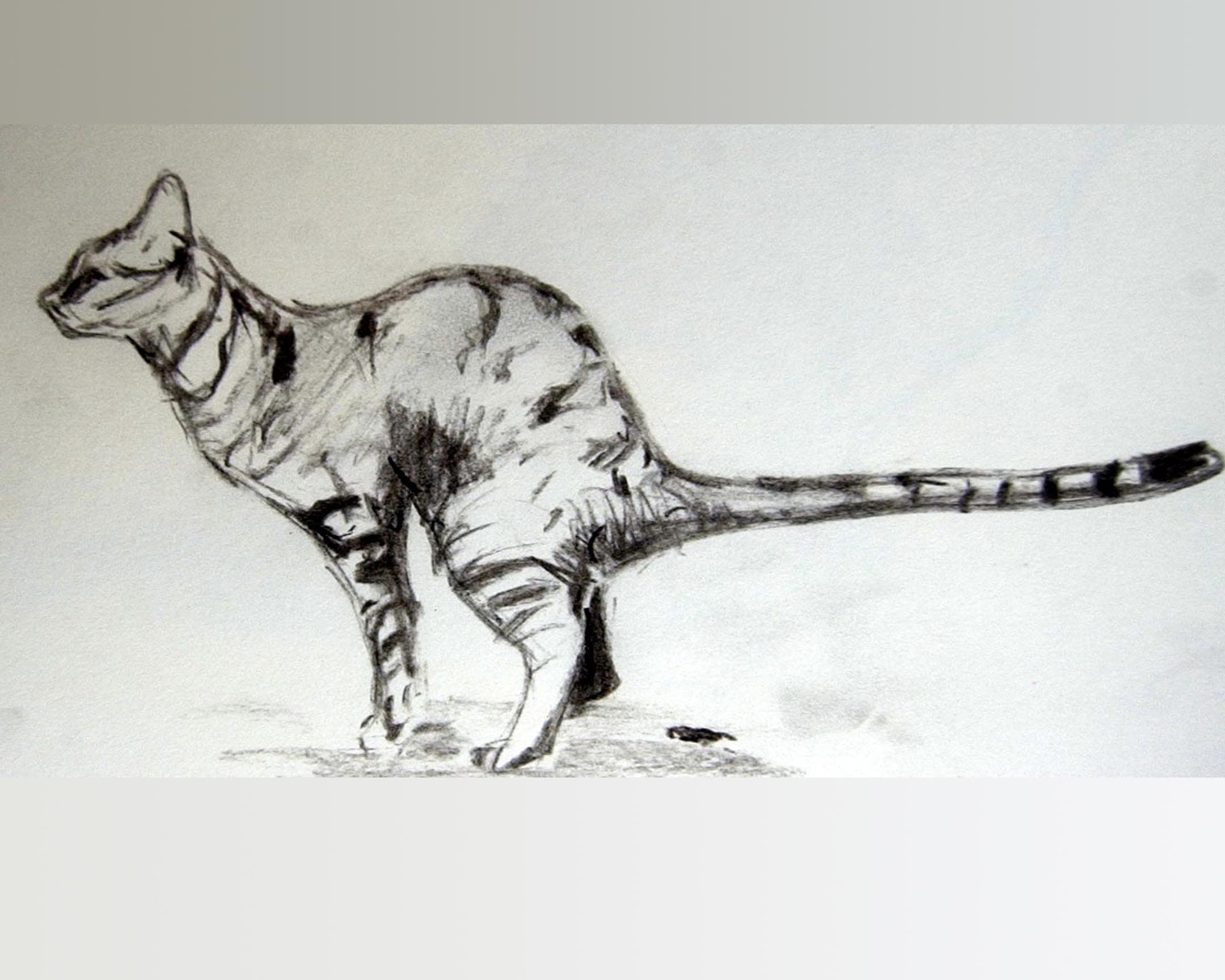  chat 6 