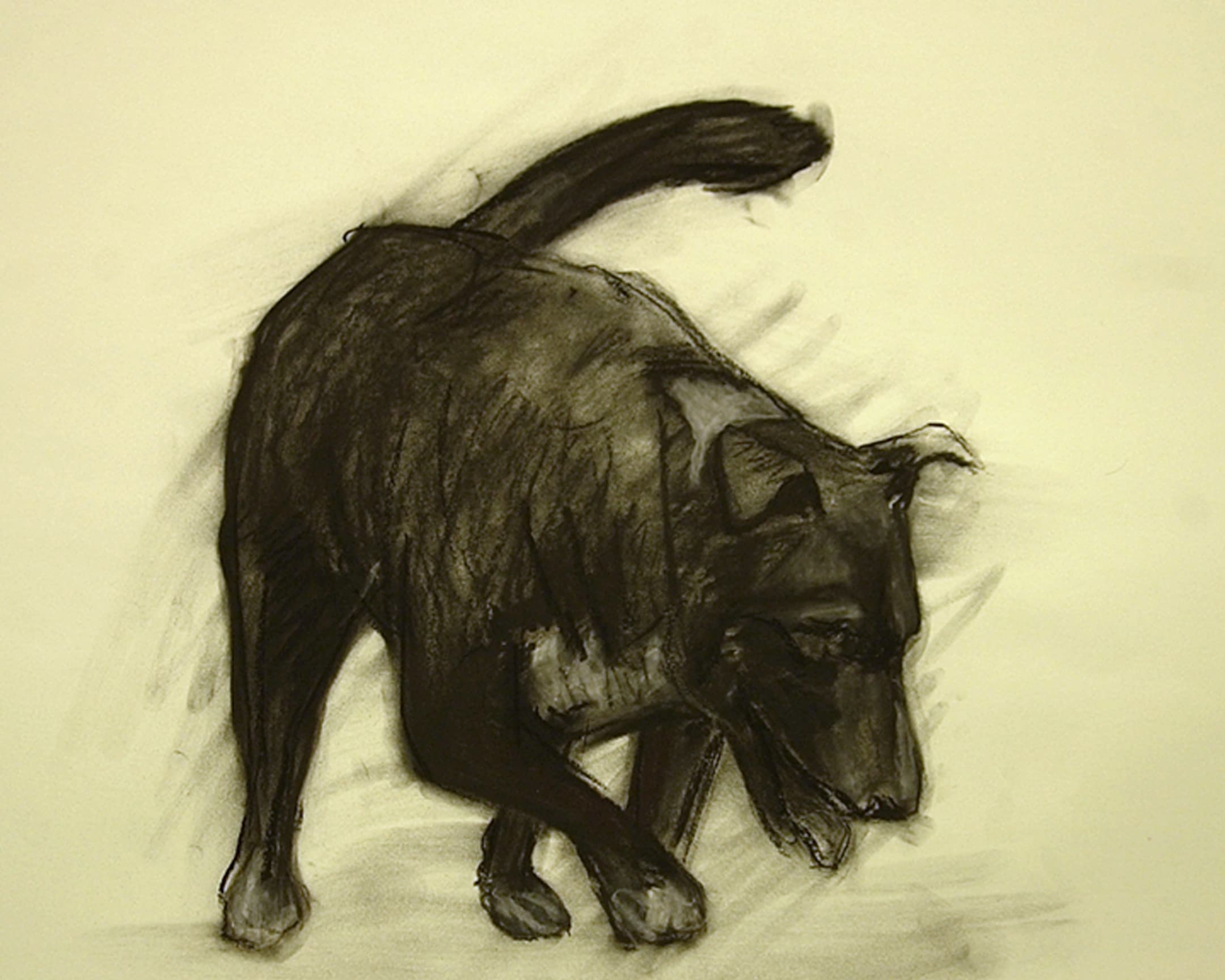  chien noir 2 