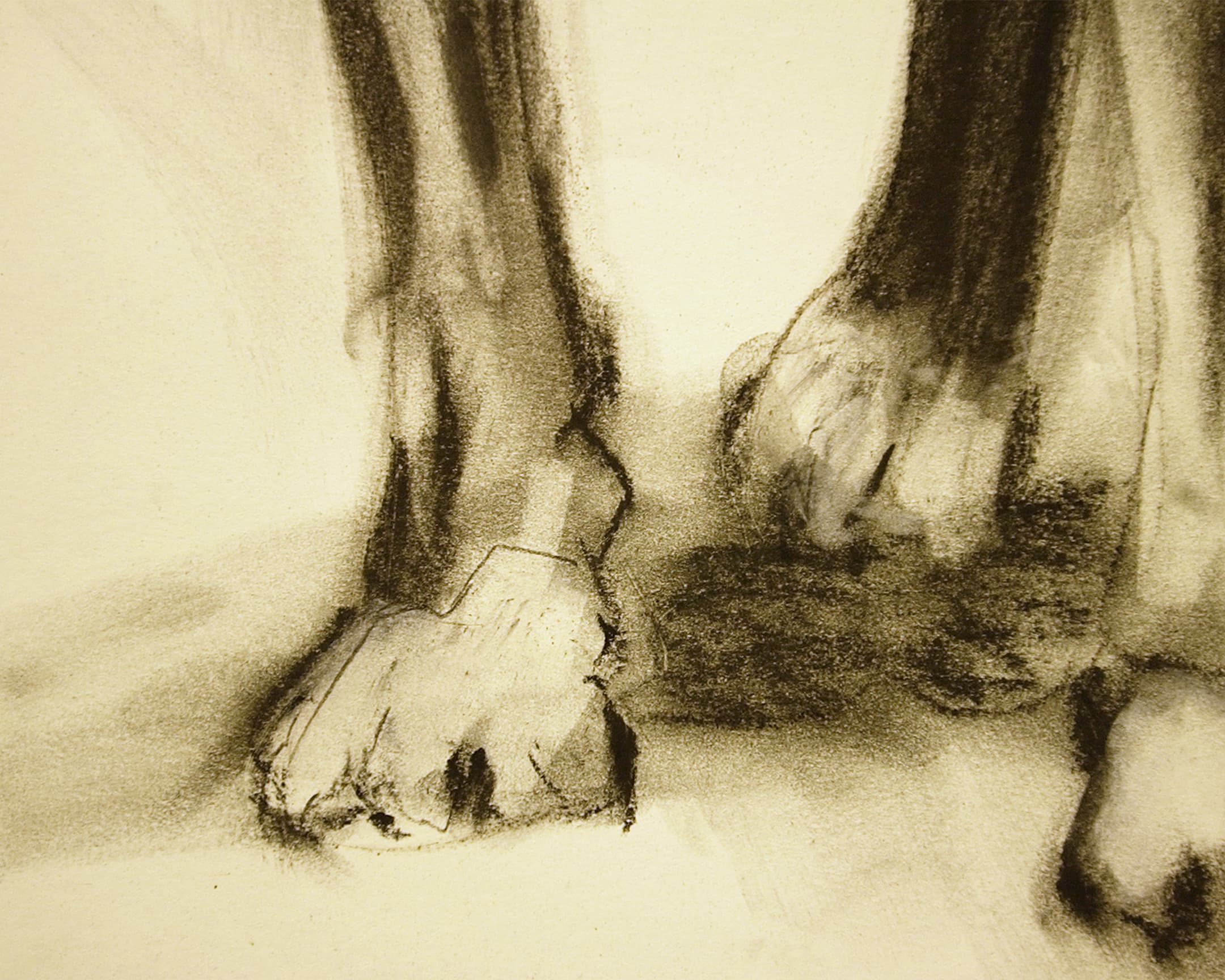  chien noir 3 