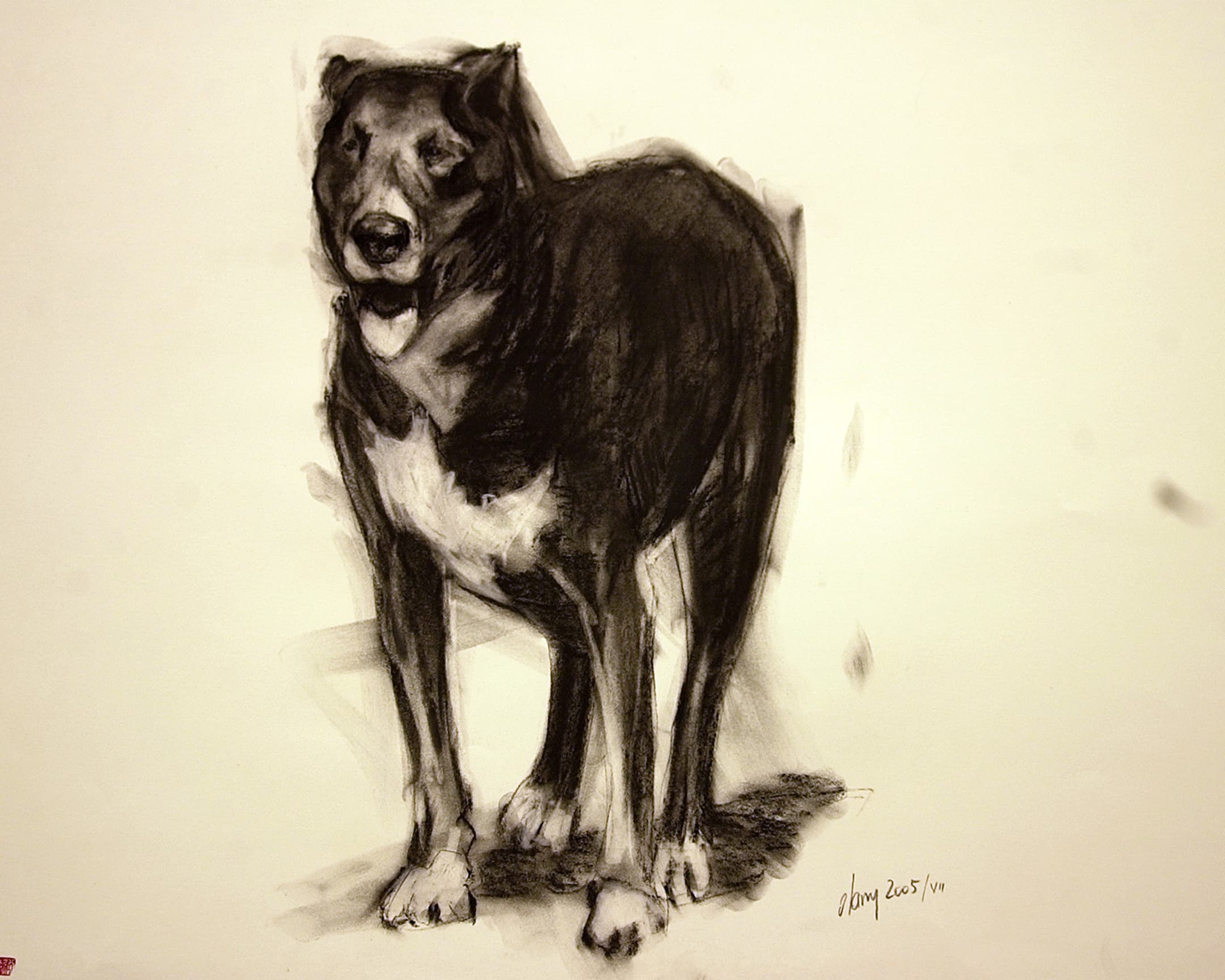  chien noir 4c 