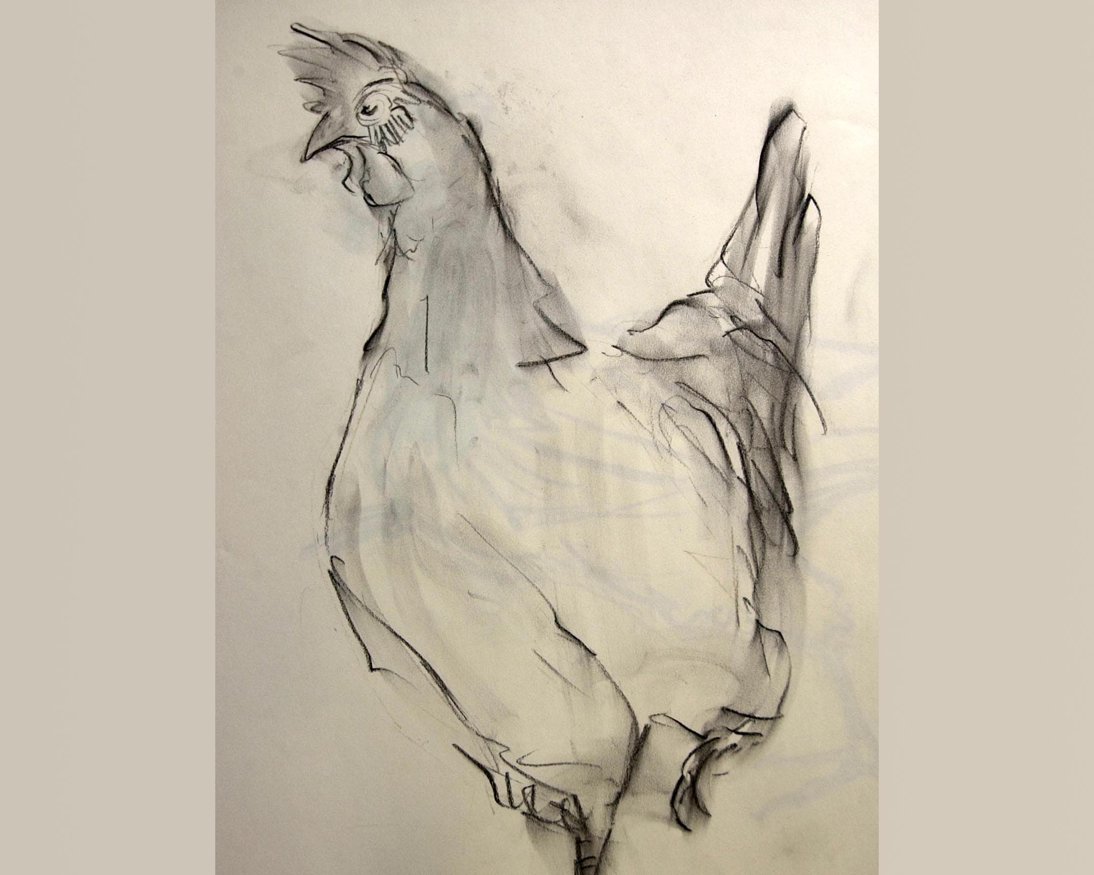  coq 4 