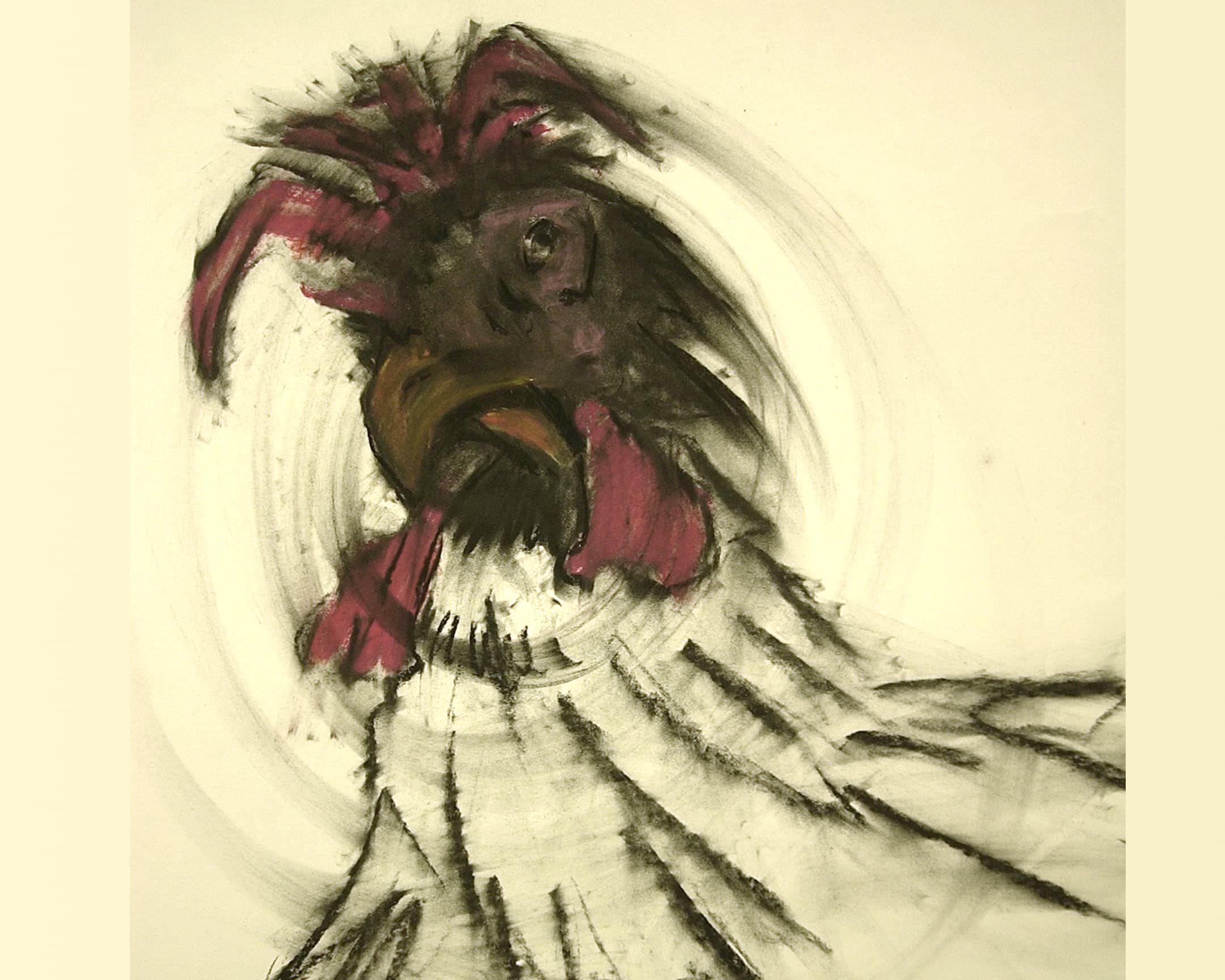  coq 12 