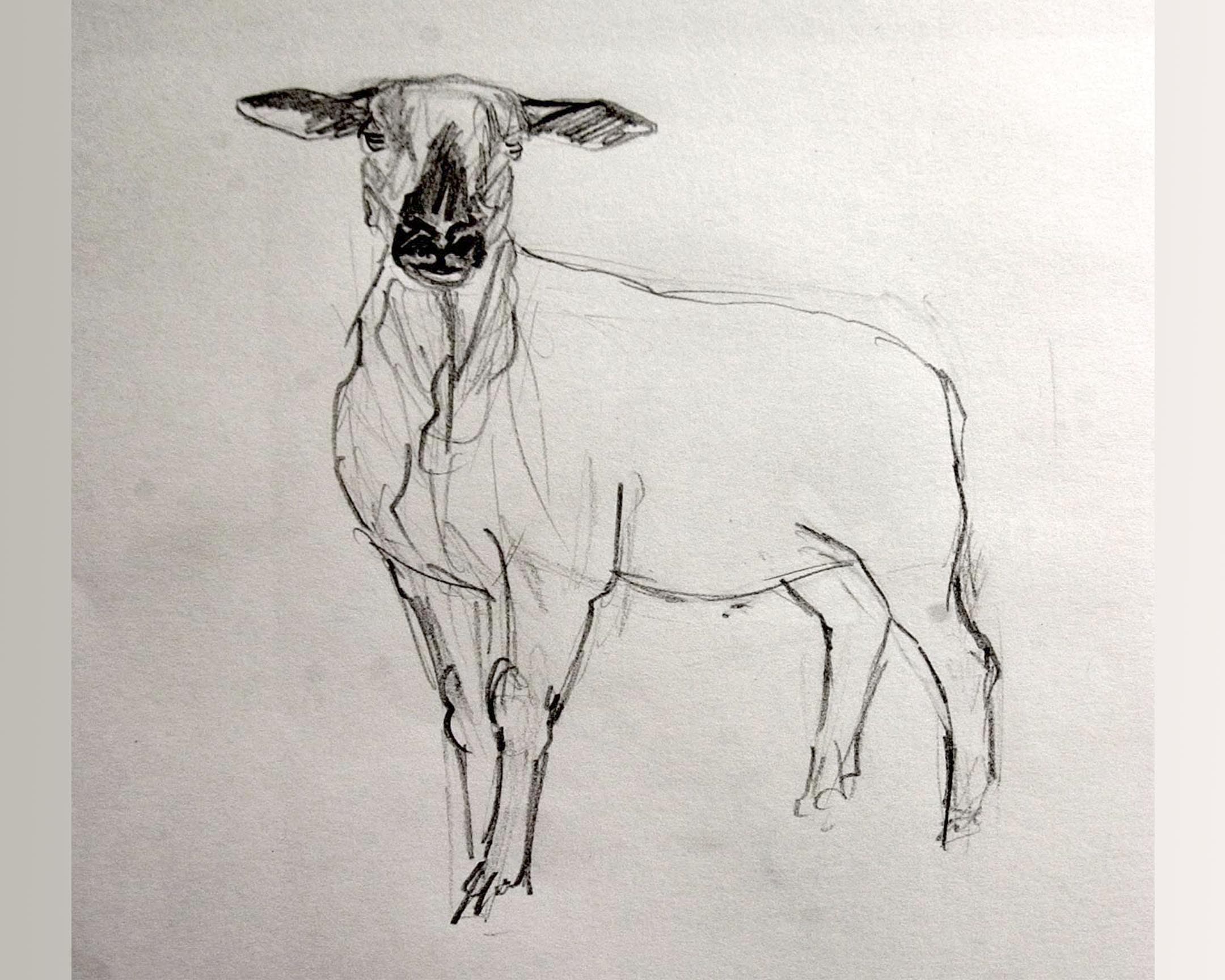  mouton 9 
