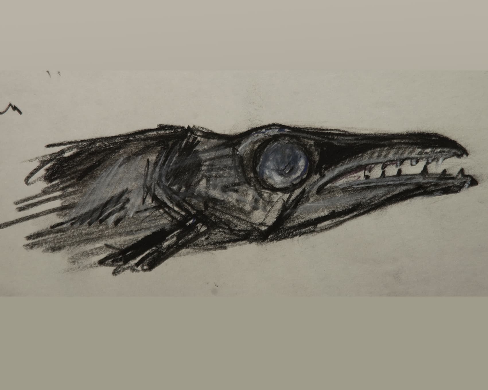  poisson 6 