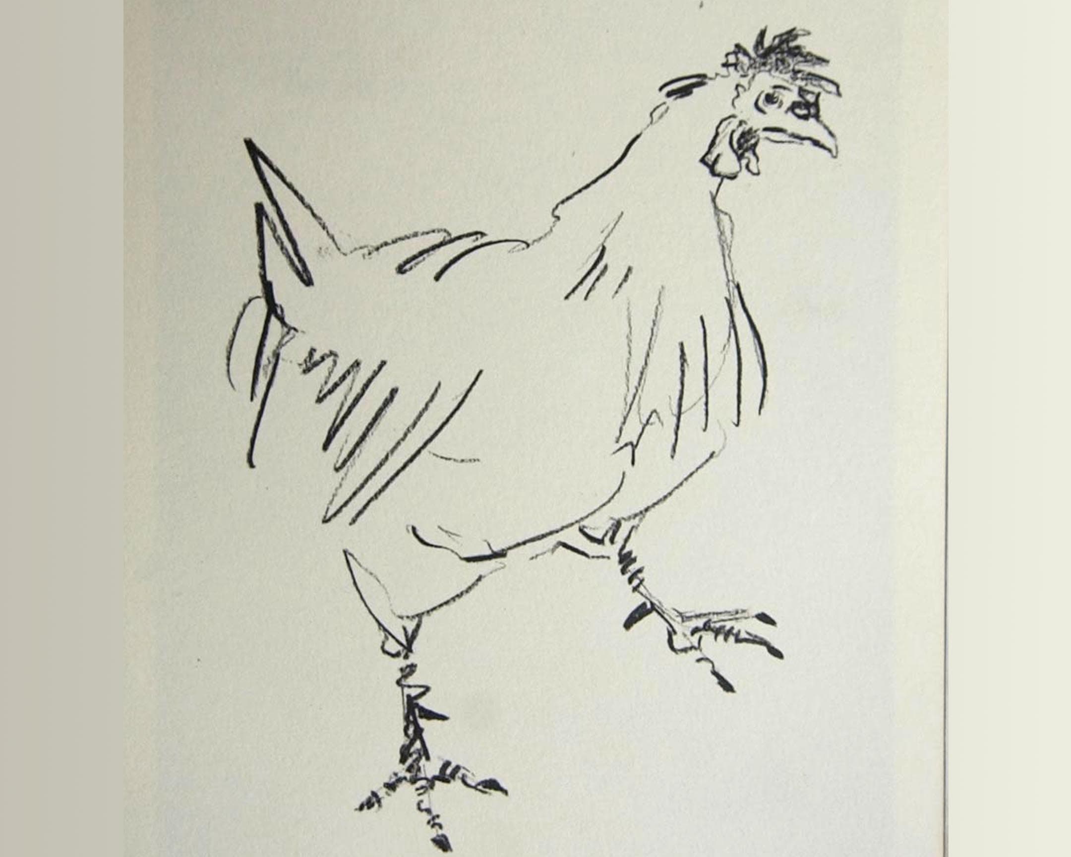  poule 19 