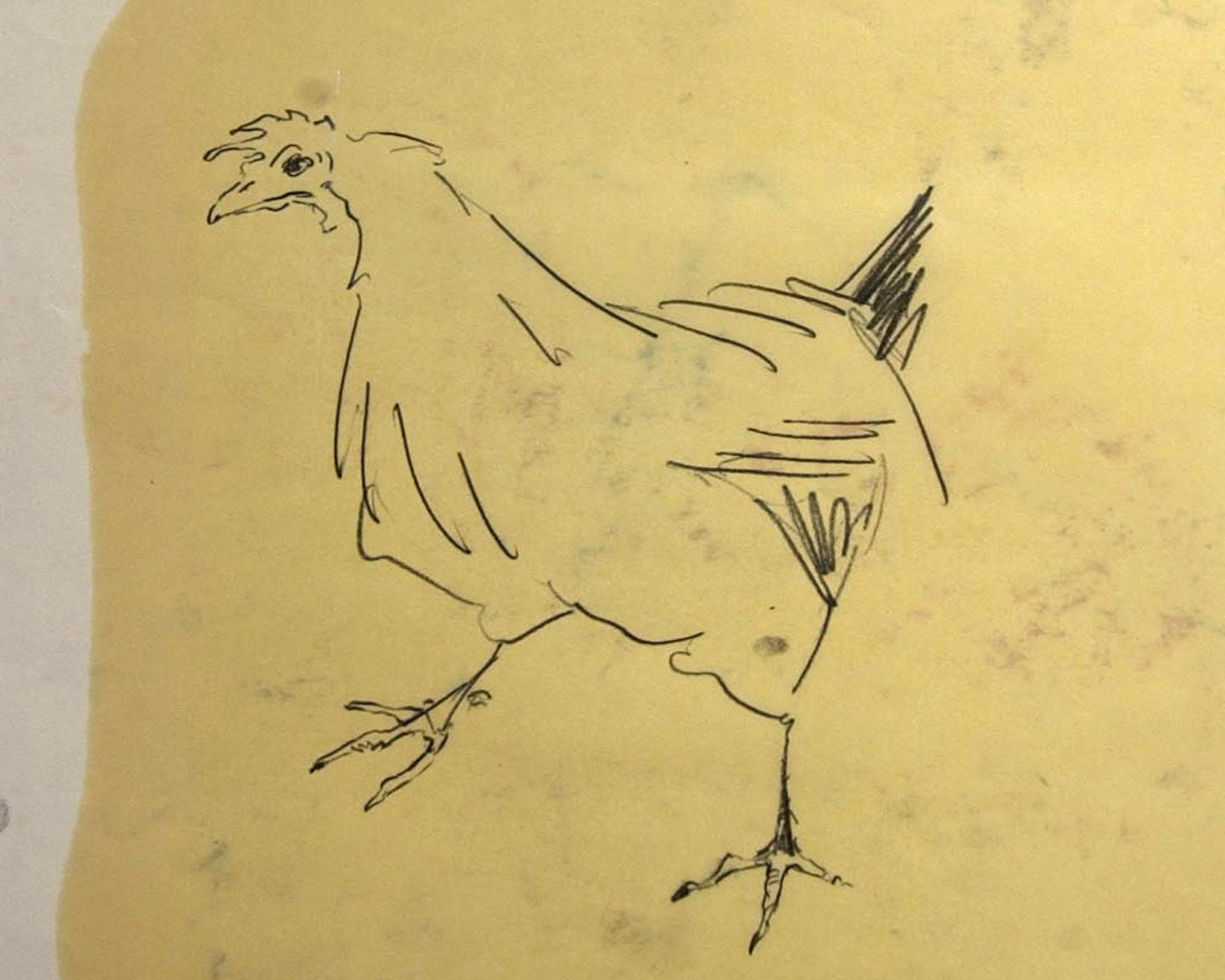  poule 34 