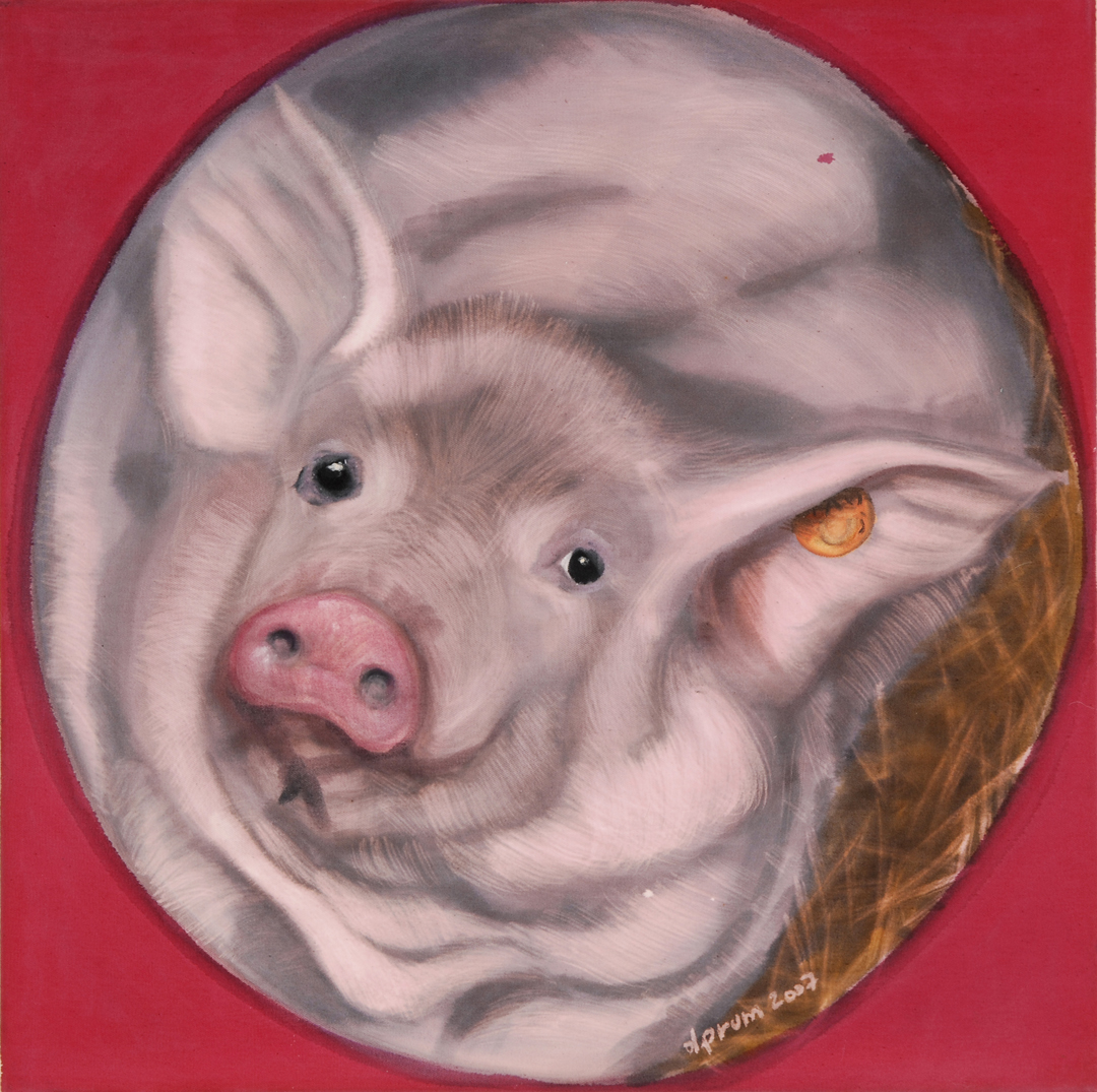  e schwengchen 